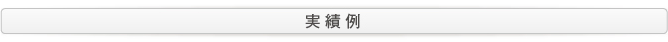 実績例