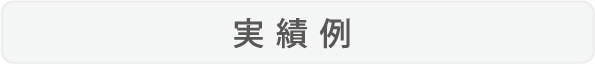 実績例
