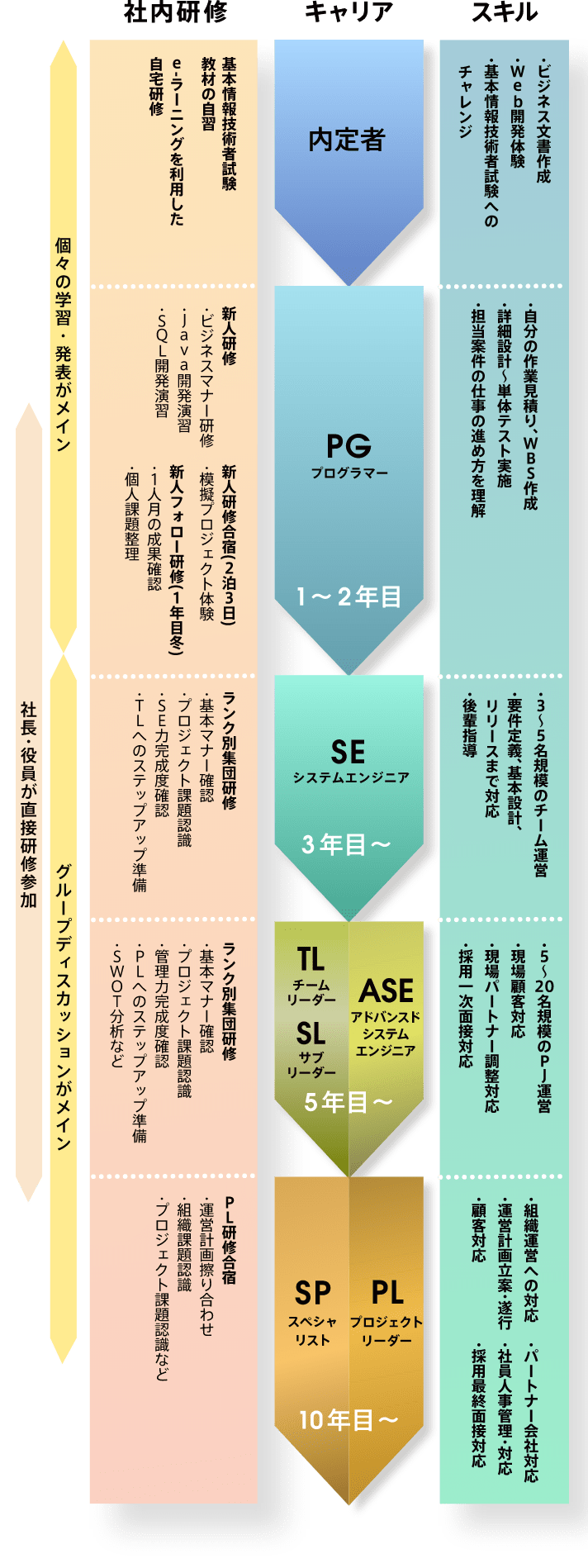スキル　・組織運営への対応　・運営計画立案・遂行　・顧客対応　・パートナー会社対応　・社員人事管理・対応　・5～20名規模のPJ運営　・現場顧客対応　・現場パートナー調整対応　・採用一次面接対応　・3～5名規模のチーム運営　・要件定義、基本設計、リリースまで対応　・後輩指導　・自分の作業見積り、WBS作成　・詳細設計～単体テスト実施　・担当案件の仕事の進め方を理解　・ビジネス文書作成　・Web開発体験　・基本情報技術者試験へのチャレンジ　キャリア　PLプロジェクトリーダー10年目〜 SP　TL/SLチームリーダーサブリーダー ５年目〜 ASEアドバンスドシステムエンジニア　SE システムエンジニア 3年目〜　PG プログラマ 1〜2年目　内定者　社内研修　PL研修合宿　・運営計画擦り合わせ　・組織課題認識　・プロジェクト課題認識など　ランク別集団研修　・基本マナー確認　・プロジェクト課題認識　・管理力完成度確認　・PLへのステップアップ準備　・SWOT分析など　ランク別集団研修　・基本マナー確認　・プロジェクト課題認識　・SE力完成度確認　・TLへのステップアップ準備　新人研修　・ビジネスマナー研修　・Java開発演習　・SQL開発演習　新人研修合宿(2泊3日)　・模擬プロジェクト体験　新人フォロー研修（1年目冬）　・1人月の成果確認　・個人課題整理　基本情報技術者試験　教材の自習　e-ラーニングを利用した　自宅研修　グループディスカッションがメイン　個々の学習・発表がメイン　社長・役員が直接研修参加